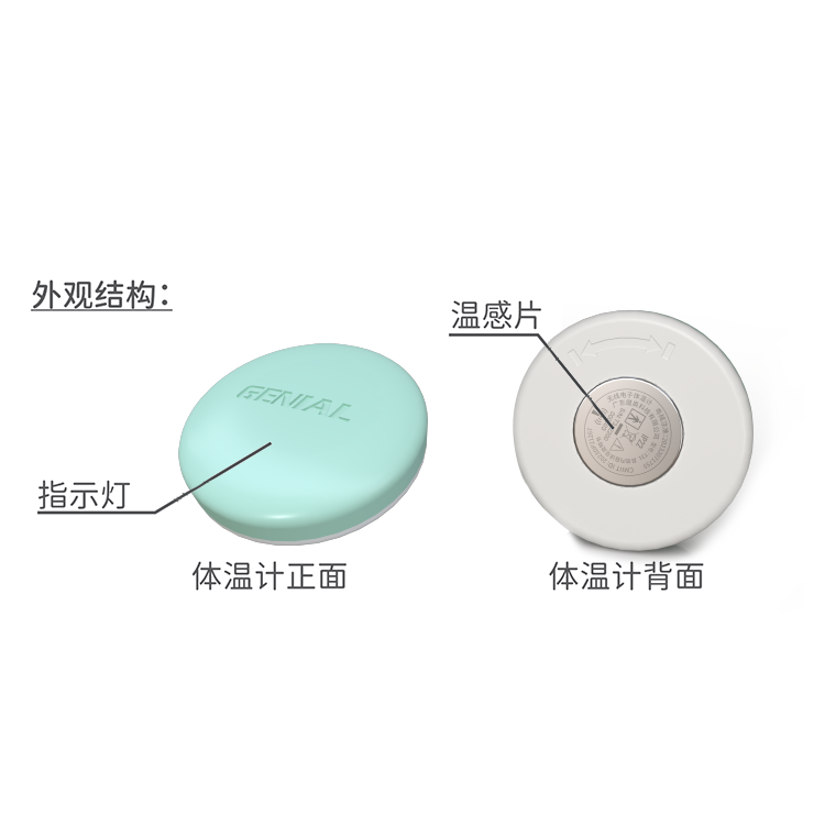 无线电子体温计T31(图3)